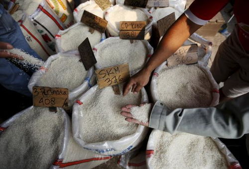 印尼查获 合成塑料大米 制造成本高于普通米